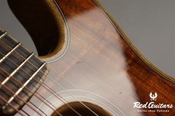 American Acoustasonic Telecaster Exotic Koa